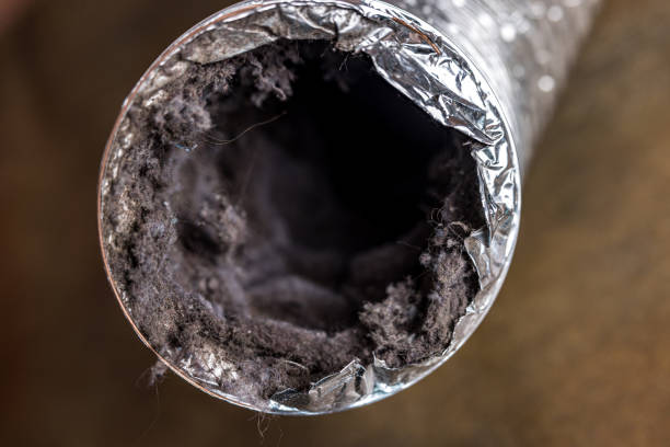 Best Air Duct Cleaning Near Me  in Villa Ridge, MO